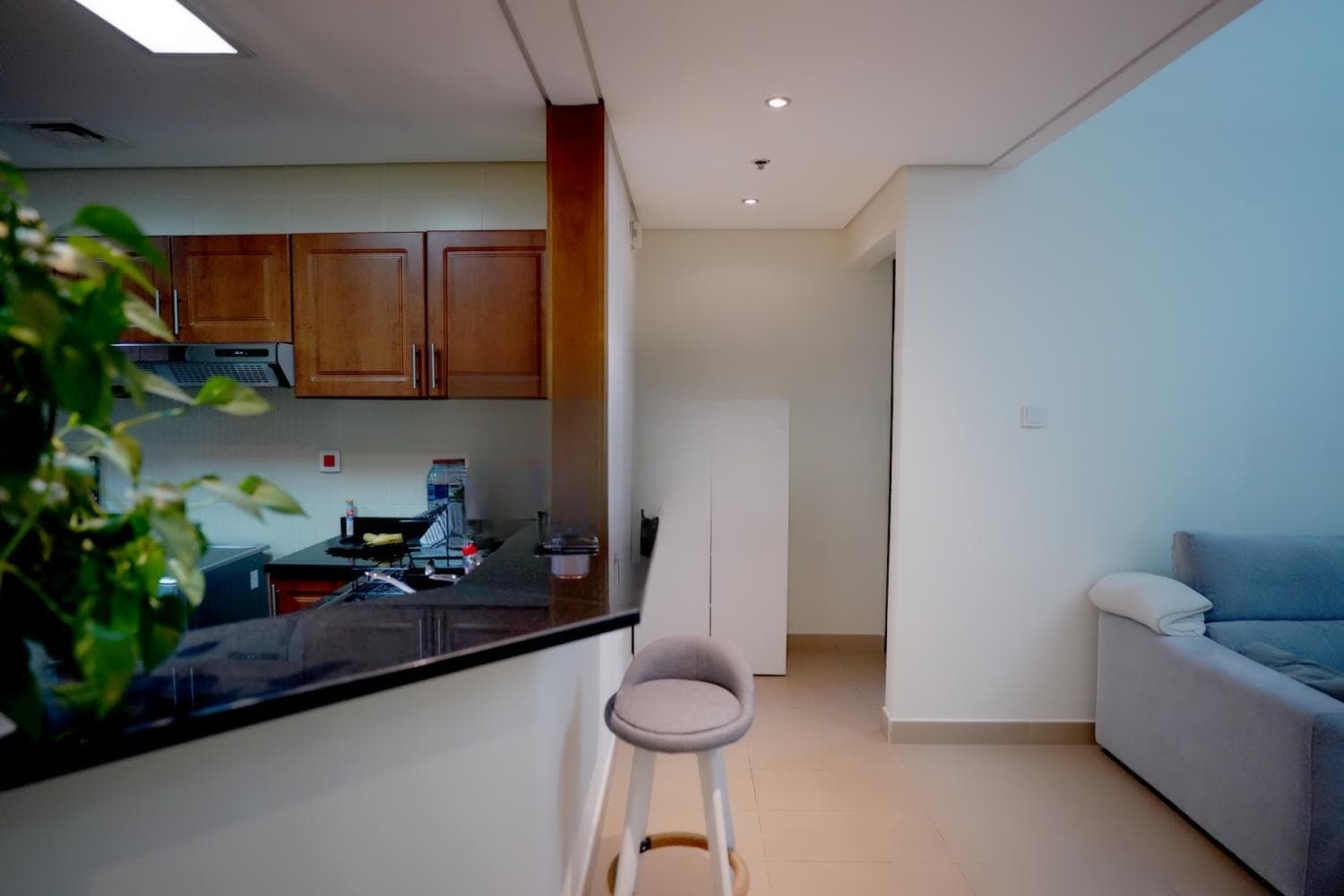 1 Bedroom Apartment in Lakeside Residence