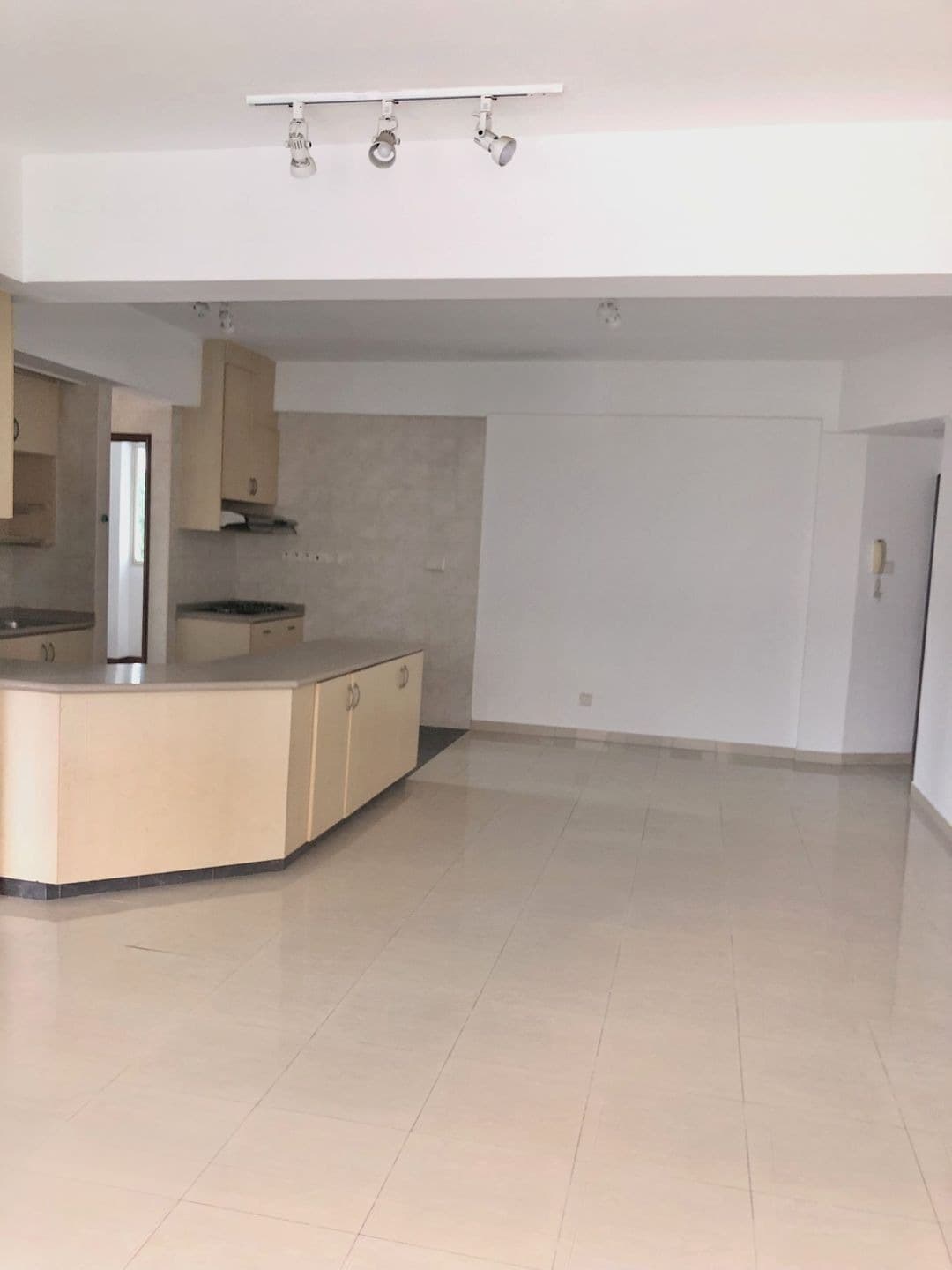 St. Michael's Condominium (D12), Apartment - For Rent 4